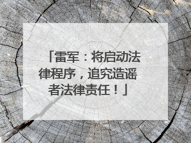 雷军：将启动法律程序，追究造谣者法律责任！