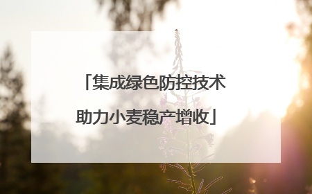 集成绿色防控技术助力小麦稳产增收