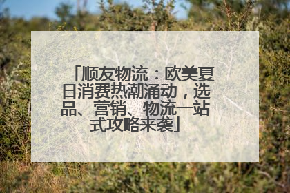顺友物流：欧美夏日消费热潮涌动，选品、营销、物流一站式攻略来袭