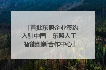 首批东盟企业签约入驻中国—东盟人工智能创新合作中心