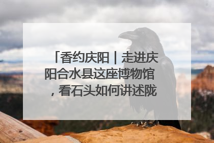 香约庆阳｜走进庆阳合水县这座博物馆，看石头如何讲述陇东千年历史