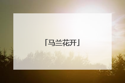 马兰花开