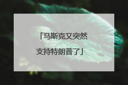 马斯克又突然支持特朗普了