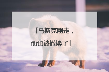 马斯克刚走，他也被撤换了