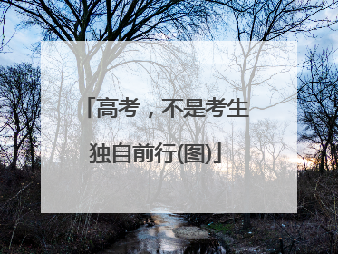 高考，不是考生独自前行(图)