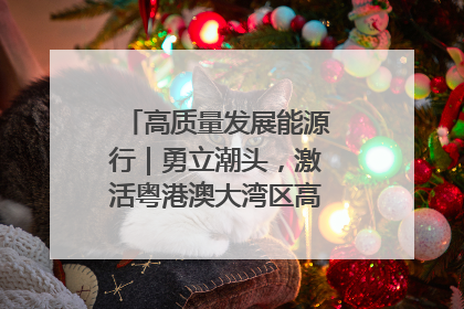 高质量发展能源行｜勇立潮头，激活粤港澳大湾区高质量发展动力源