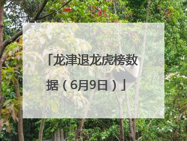 龙津退龙虎榜数据（6月9日）