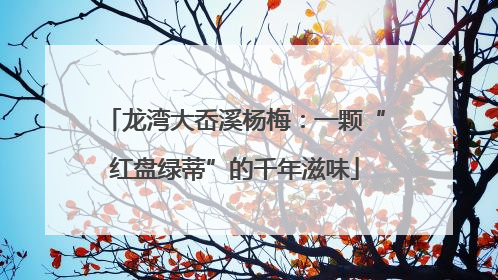 龙湾大岙溪杨梅：一颗“红盘绿蒂”的千年滋味