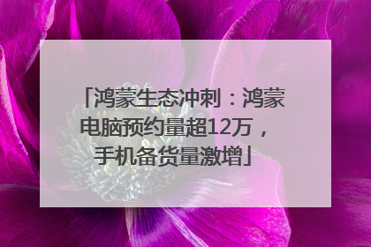 鸿蒙生态冲刺：鸿蒙电脑预约量超12万，手机备货量激增