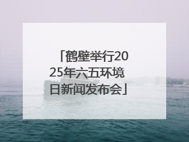 鹤壁举行2025年六五环境日新闻发布会