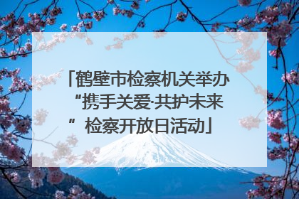 鹤壁市检察机关举办“携手关爱·共护未来”检察开放日活动