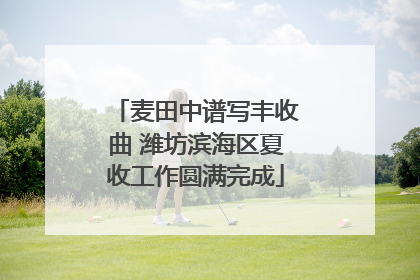 麦田中谱写丰收曲 潍坊滨海区夏收工作圆满完成
