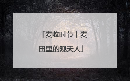 麦收时节丨麦田里的观天人