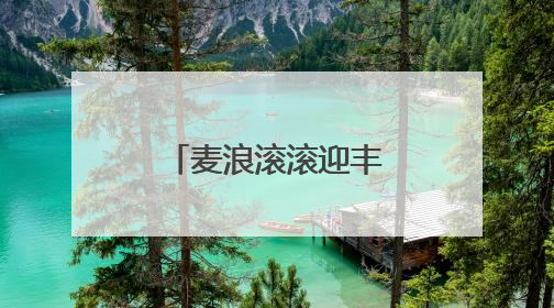 麦浪滚滚迎丰收 陕西麦收进度过七成