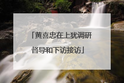 黄喜忠在上犹调研督导和下访接访