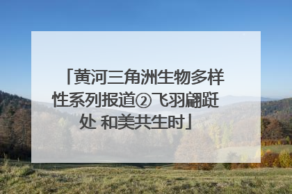 黄河三角洲生物多样性系列报道②飞羽翩跹处 和美共生时