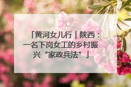 黄河女儿行｜陕西：一名下岗女工的乡村振兴“家政兵法”