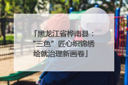 黑龙江省桦南县：“三色”匠心织锦绣 绘就治理新画卷