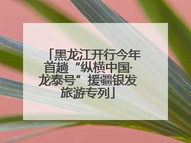 黑龙江开行今年首趟“纵横中国·龙泰号”援疆银发旅游专列
