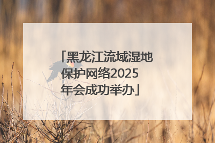 黑龙江流域湿地保护网络2025年会成功举办