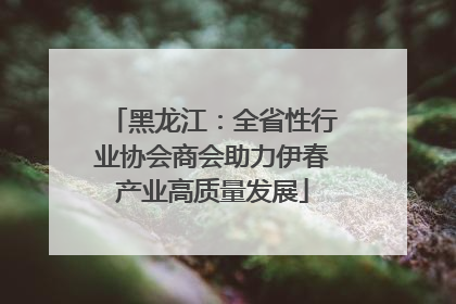 黑龙江：全省性行业协会商会助力伊春产业高质量发展
