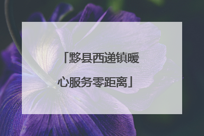 黟县西递镇暖心服务零距离