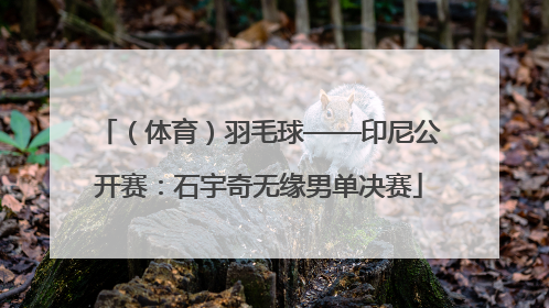 （体育）羽毛球——印尼公开赛：石宇奇无缘男单决赛