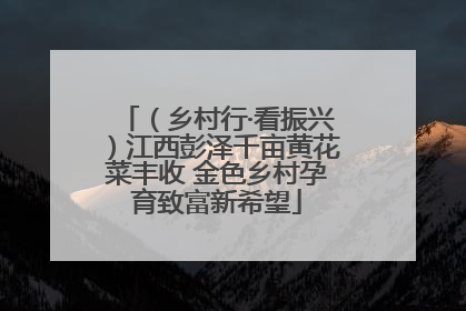 （乡村行·看振兴）江西彭泽千亩黄花菜丰收 金色乡村孕育致富新希望