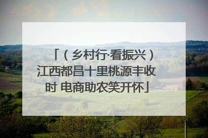 （乡村行·看振兴）江西都昌十里桃源丰收时 电商助农笑开怀