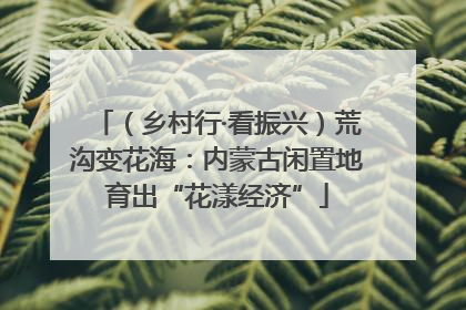 （乡村行·看振兴）荒沟变花海：内蒙古闲置地育出“花漾经济”