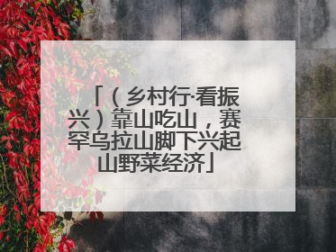 （乡村行·看振兴）靠山吃山，赛罕乌拉山脚下兴起山野菜经济