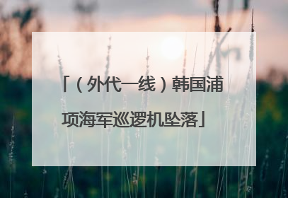 （外代一线）韩国浦项海军巡逻机坠落