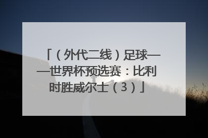 （外代二线）足球——世界杯预选赛：比利时胜威尔士（3）