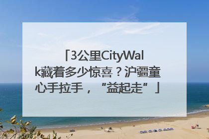 3公里CityWalk藏着多少惊喜？沪疆童心手拉手，“益起走”