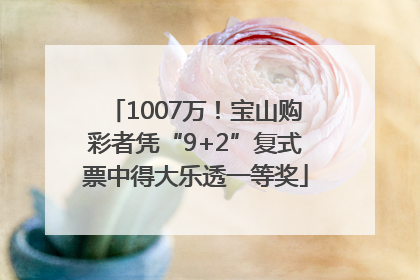 1007万！宝山购彩者凭“9+2”复式票中得大乐透一等奖