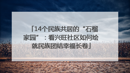 14个民族共居的“石榴家园”：看兴旺社区如何绘就民族团结幸福长卷