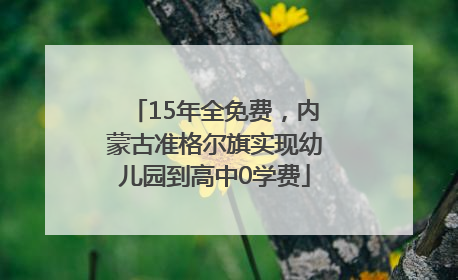 15年全免费，内蒙古准格尔旗实现幼儿园到高中0学费