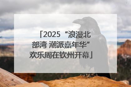 2025“浪漫北部湾 潮派嘉年华”欢乐周在钦州开幕
