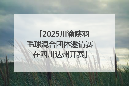 2025川渝陕羽毛球混合团体邀请赛在四川达州开赛