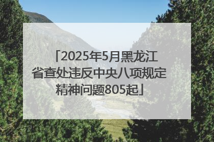 2025年5月黑龙江省查处违反中央八项规定精神问题805起
