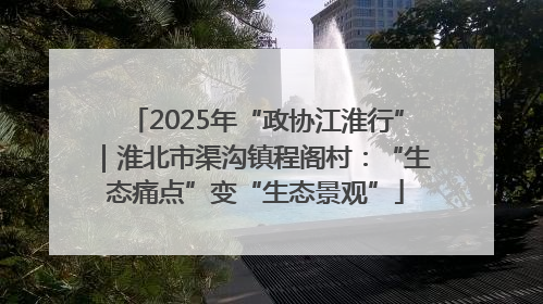 2025年“政协江淮行”｜淮北市渠沟镇程阁村：“生态痛点”变“生态景观”