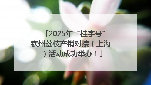 2025年“桂字号”钦州荔枝产销对接（上海）活动成功举办！