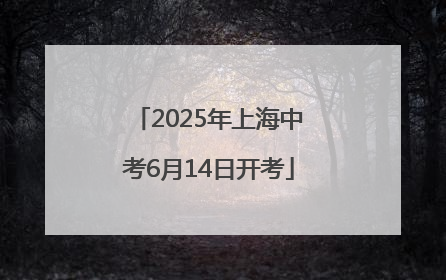 2025年上海中考6月14日开考