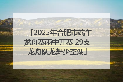 2025年合肥市端午龙舟赛雨中开赛 29支龙舟队龙舞少荃湖