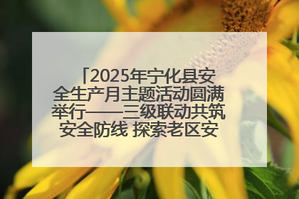 2025年宁化县安全生产月主题活动圆满举行——三级联动共筑安全防线 探索老区安全发展新路径