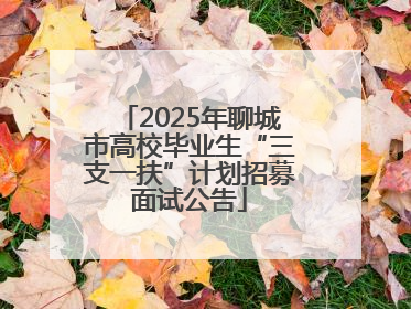 2025年聊城市高校毕业生“三支一扶”计划招募面试公告