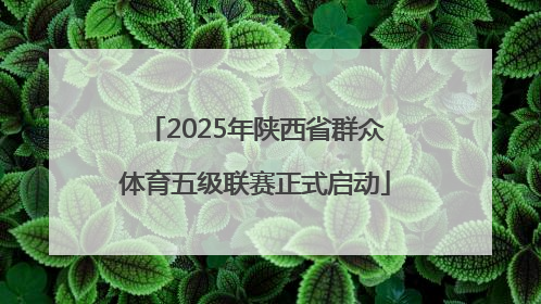 2025年陕西省群众体育五级联赛正式启动