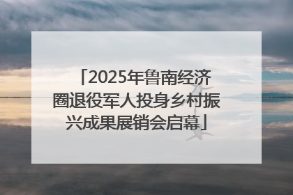 2025年鲁南经济圈退役军人投身乡村振兴成果展销会启幕