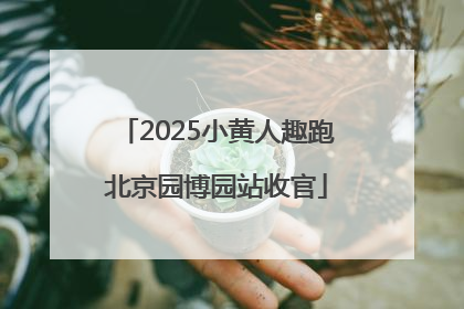 2025小黄人趣跑北京园博园站收官