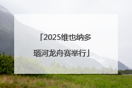 2025维也纳多瑙河龙舟赛举行
